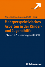 Buch-Cover Mehrperspektivisches Arbeiten