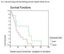 Berechnung Kaplan-Meier-Kurve